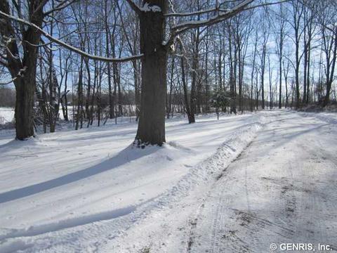 2531 Bastian Rd, Lyons, NY 14489 photo 23