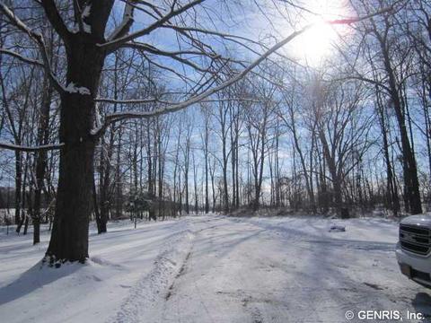 2531 Bastian Rd, Lyons, NY 14489 photo 22