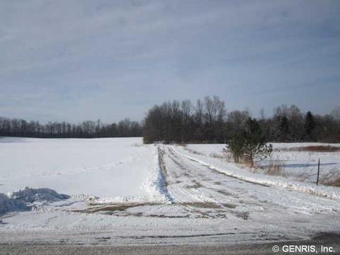 2531 Bastian Rd, Lyons, NY 14489 photo 24