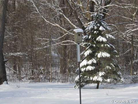 2531 Bastian Rd, Lyons, NY 14489 photo 25