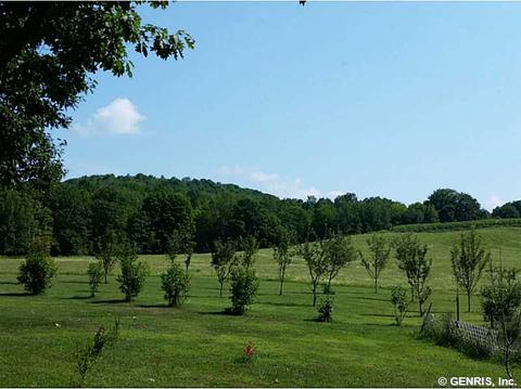 4098 Pine St, Scio, NY 14880 photo 14