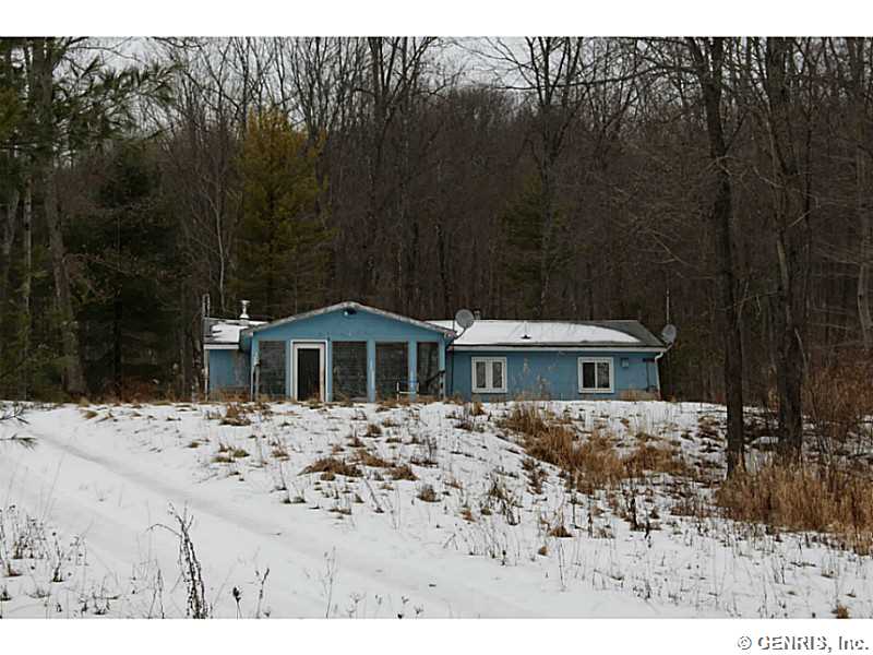 5796 Wolf Spring Rd, Scio, NY 14880 photo 1