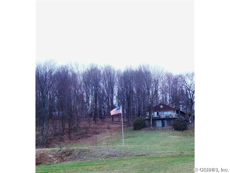 10163 Flaherty Rd, Prattsburgh, NY 14873 photo 1