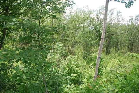 408 Sundown Rd, Fulton, NY 13069 photo 18