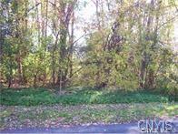 159 Dutton Ave, Onondaga, NY 13120 photo 1
