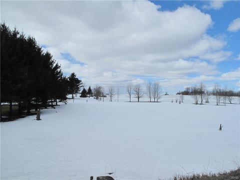 6475 Stevens Rd, Elbridge, NY 13080 photo 1