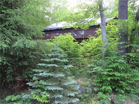 218 Cliff Rd, Webb, NY 13420 photo 2