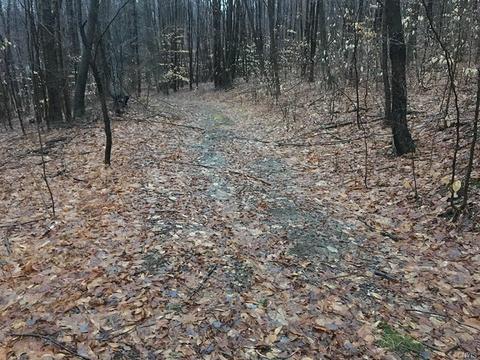 2648 Wolf Spring Rd, Scio, NY 14880 photo 1