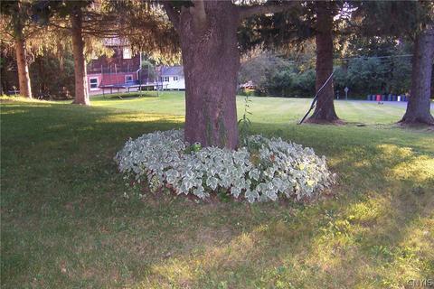 7 Robin Ln, Tully, NY 13159 photo 4