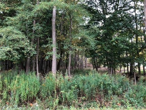 0 Spring St, Hamilton, NY 13346