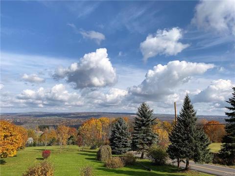 379 Griffin Rd, German Flatts, NY 13407 photo 20