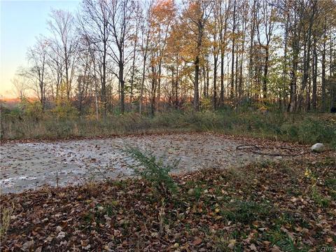 312 Klocks Corners Rd, Scriba, NY 13126 photo 9