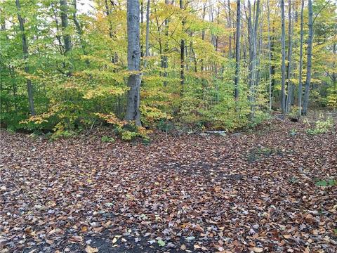 312 Klocks Corners Rd, Scriba, NY 13126 photo 12