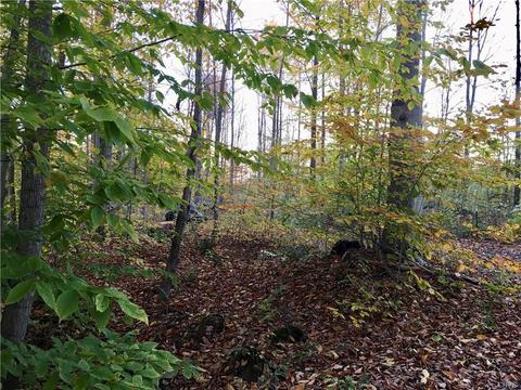 312 Klocks Corners Rd, Scriba, NY 13126 photo 6