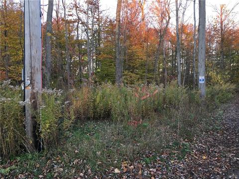 312 Klocks Corners Rd, Scriba, NY 13126 photo 14