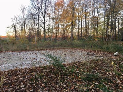 312 Klocks Corners Rd, Scriba, NY 13126 photo 8