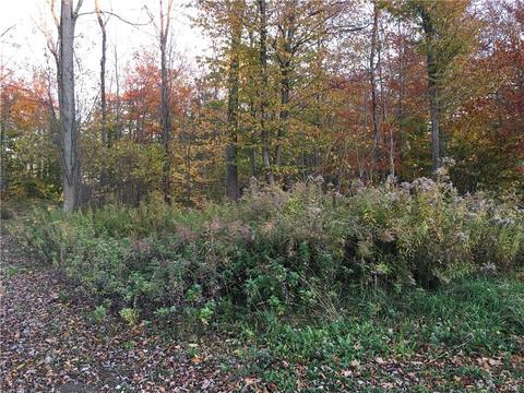 312 Klocks Corners Rd, Scriba, NY 13126 photo 2