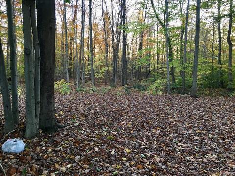 312 Klocks Corners Rd, Scriba, NY 13126 photo 13