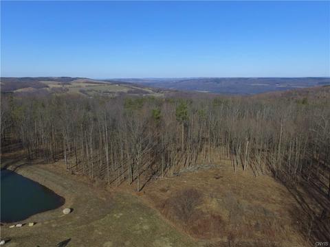 710 Stevens Rd, Tully, NY 13159 photo 34