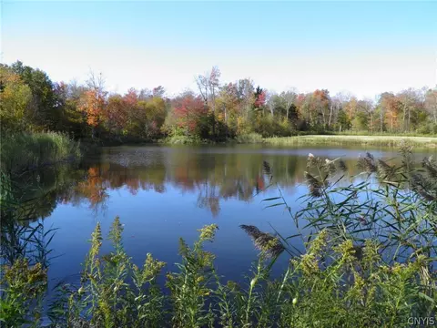 0 Gallo Trail Rd, Osceola, NY 13489