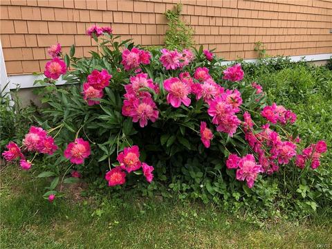 965 Sunny Point Rd, Madison, NY 13402 photo 32