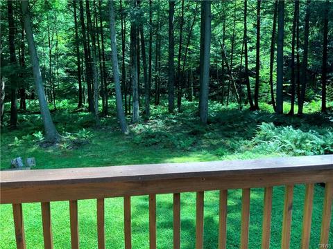 236 Cherry Ln, German, NY 13040 photo 32