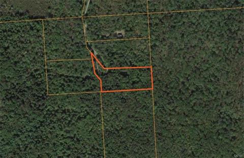 236 Cherry Ln, German, NY 13040 photo 34
