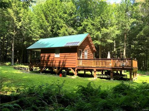 236 Cherry Ln, German, NY 13040 photo 30