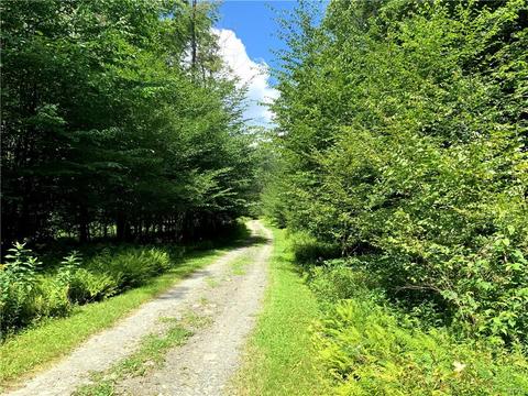236 Cherry Ln, German, NY 13040 photo 23