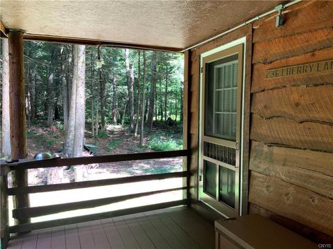 236 Cherry Ln, German, NY 13040 photo 8