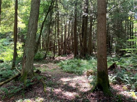236 Cherry Ln, German, NY 13040 photo 21