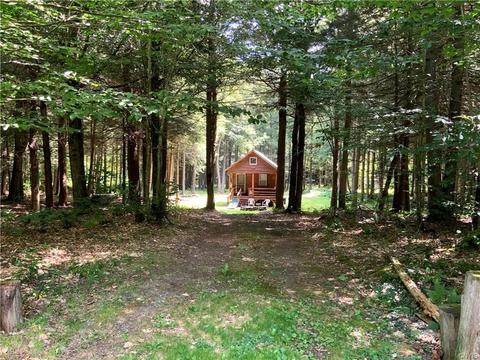 236 Cherry Ln, German, NY 13040 photo 2