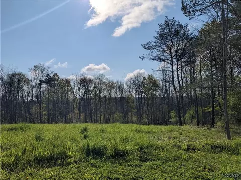 10 Thomas Ln, Madison, NY 13346