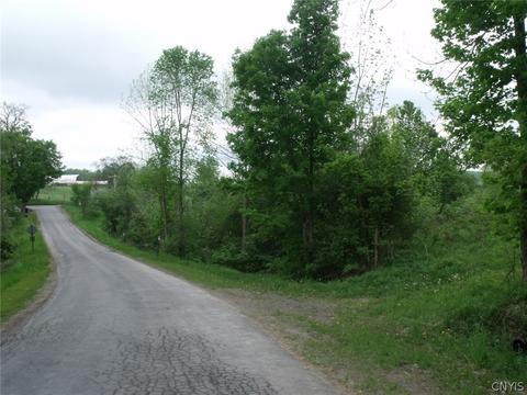 0 Polly Miller Rd, Columbia, NY 13407