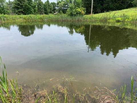 0 W Main Rd, Cuba, NY 14727