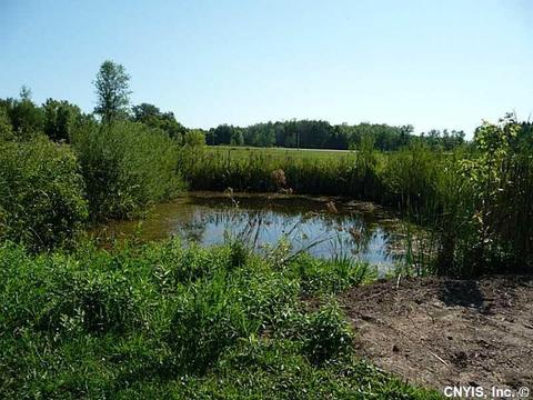 0 Route 13, Lenox, NY 13032