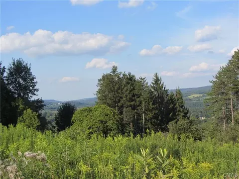 0 Sycamore Pl, Lebanon, NY 13332