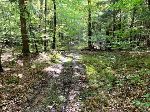 00 County Road 48, Amity, NY 14813