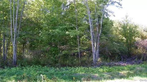 lot Apt 1 Martin Rd, Constantia, NY 13042