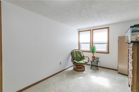 208 Boulder Rd, Geddes, NY 13209 photo 43