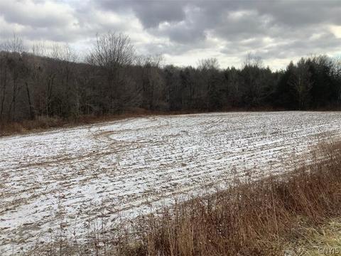 624 Hunts Corners Rd, Richford, NY 13835