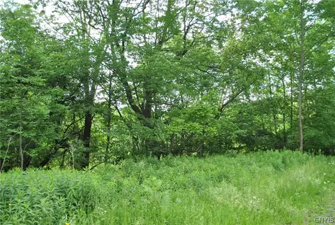 lot D Purdy Rd, Madison, NY 13402