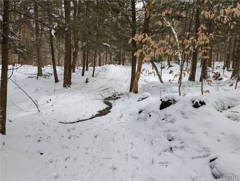 12 Cedar Ln, Watson, NY 13343 photo 3