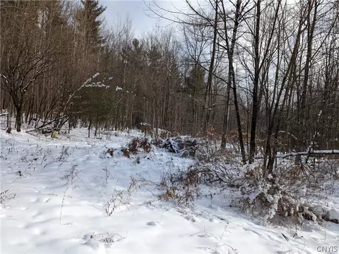 13 Cedar Ln, Watson, NY 13343 photo 2