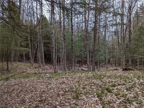 13 Cedar Ln, Watson, NY 13343