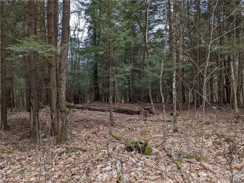 15 Cedar Ln, Watson, NY 13343