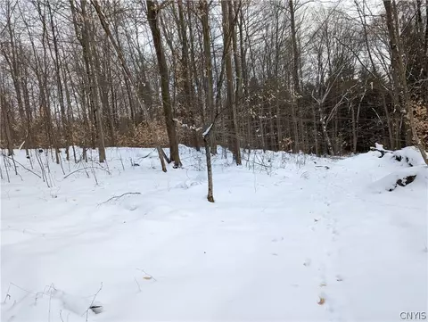 24 Maple Dr, Watson, NY 13343 photo 2