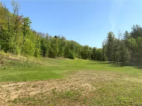 3950 Shuetown Rd, Lyonsdale, NY 13368