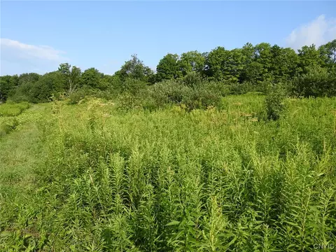 0000 Webster Hill Road Rd, Western, NY 13309