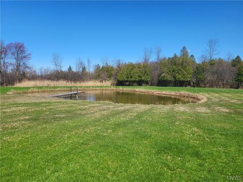 1195 Kinderhook Rd, Sullivan, NY 13037 photo 29